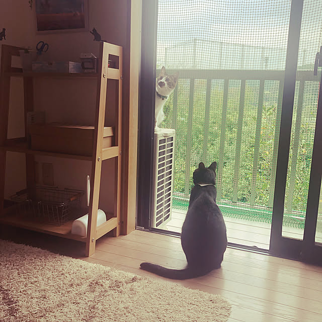 jijiさんの実例写真