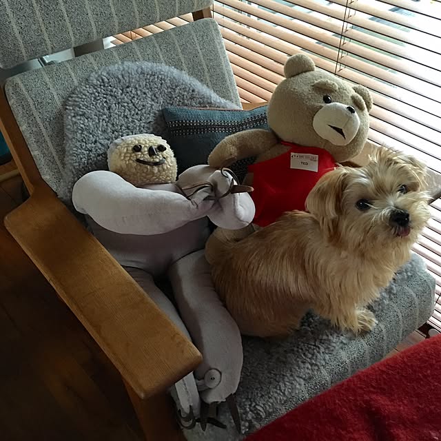 Bunさんの実例写真