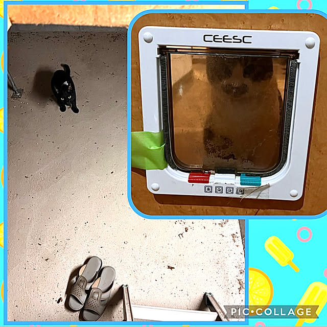 jijiさんの実例写真