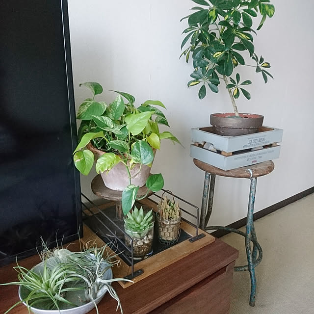 greenwireさんの実例写真