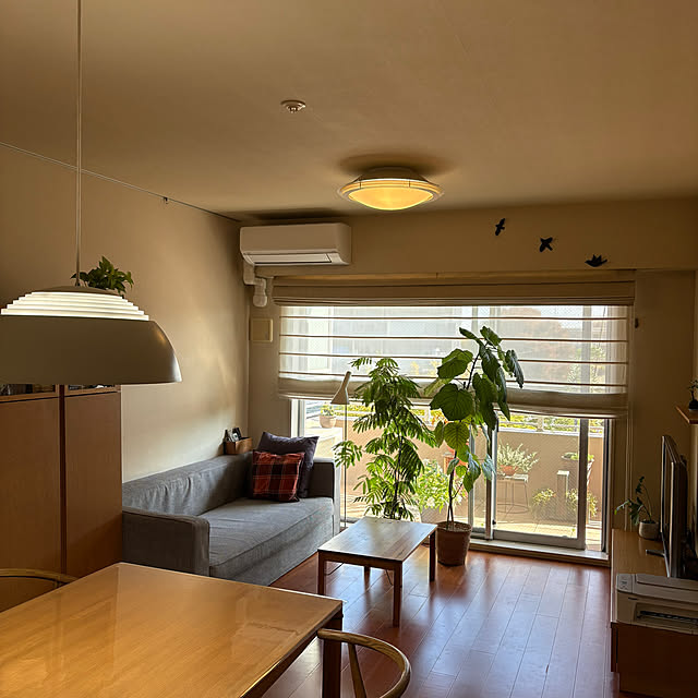 wwwさんの実例写真