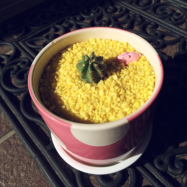 kyo.2.16さんの実例写真