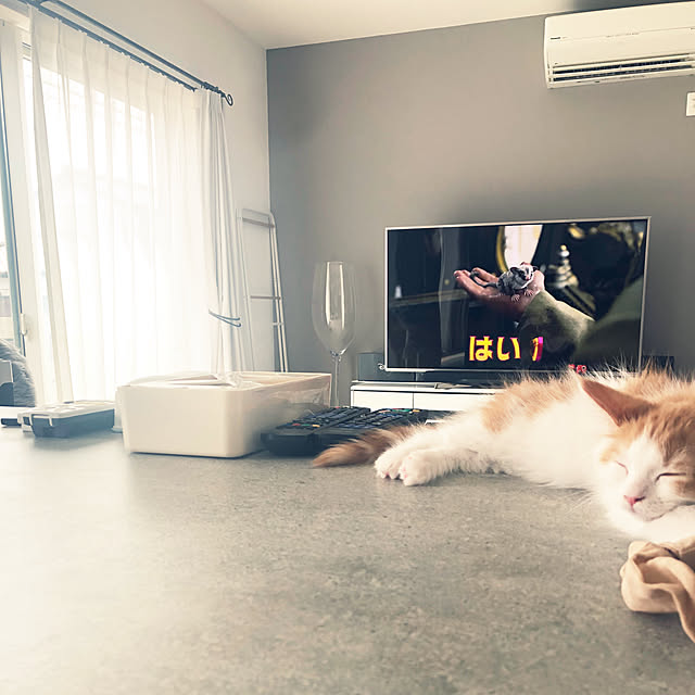 ukoさんの実例写真