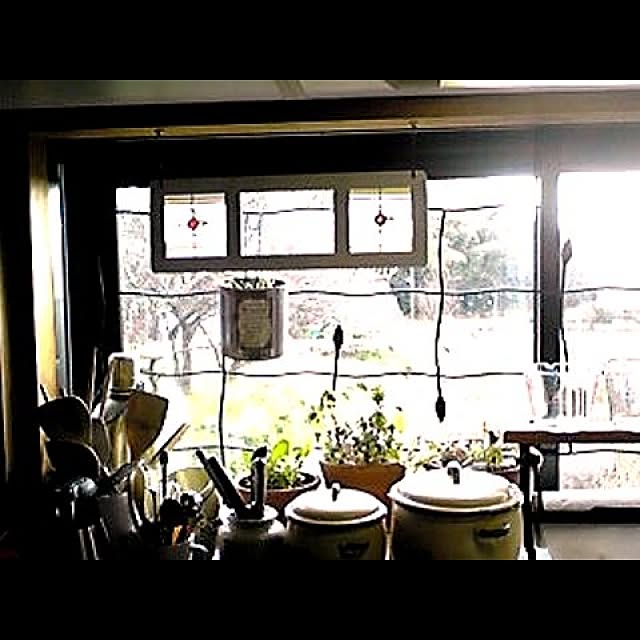 20rose_mamiさんの実例写真