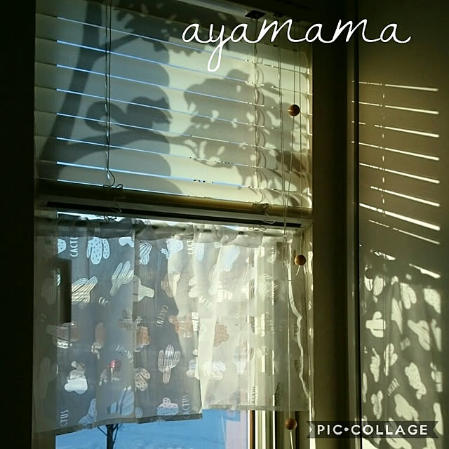 ayamamaさんの実例写真