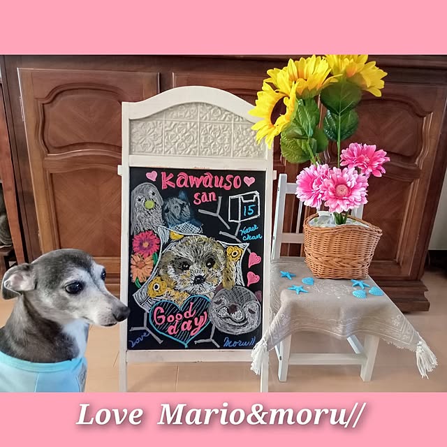 moruさんの部屋