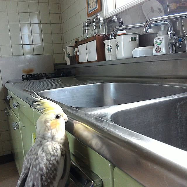 実例写真