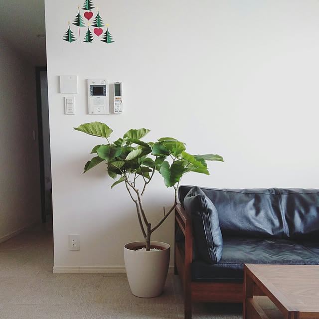 room_violetさんの部屋