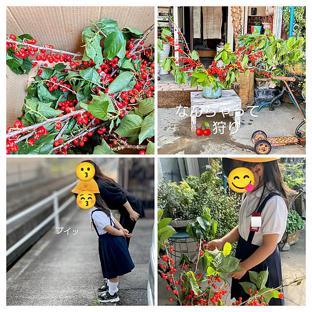 実例写真