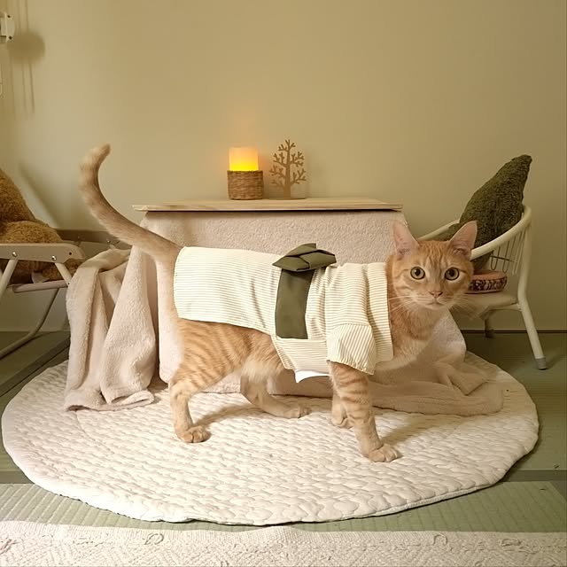 mayutan.さんの実例写真