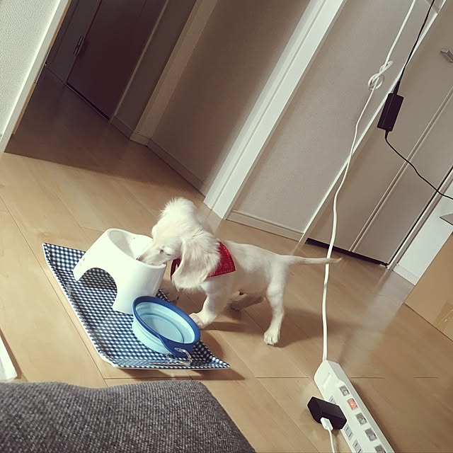yu.813さんの実例写真