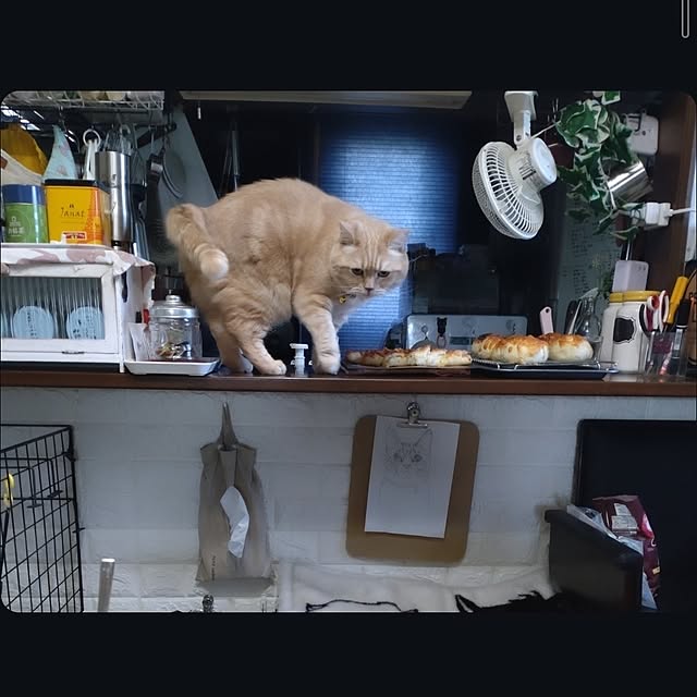 mntcさんの部屋