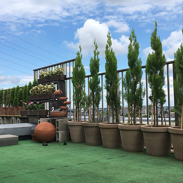 asano_salvatoreさんの実例写真