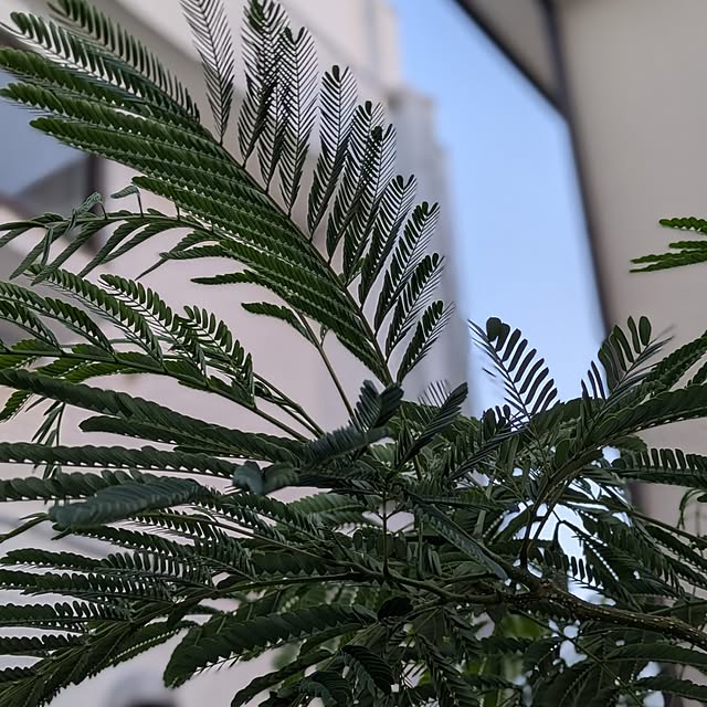 non_ko..さんの実例写真