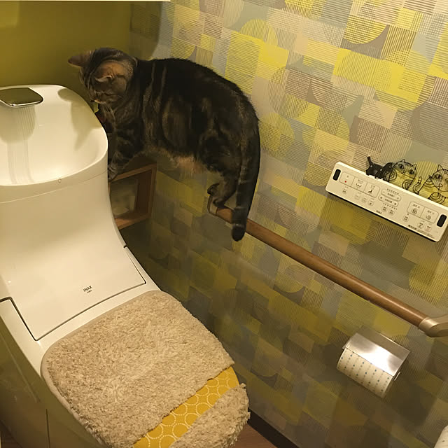 mikomaruさんの実例写真