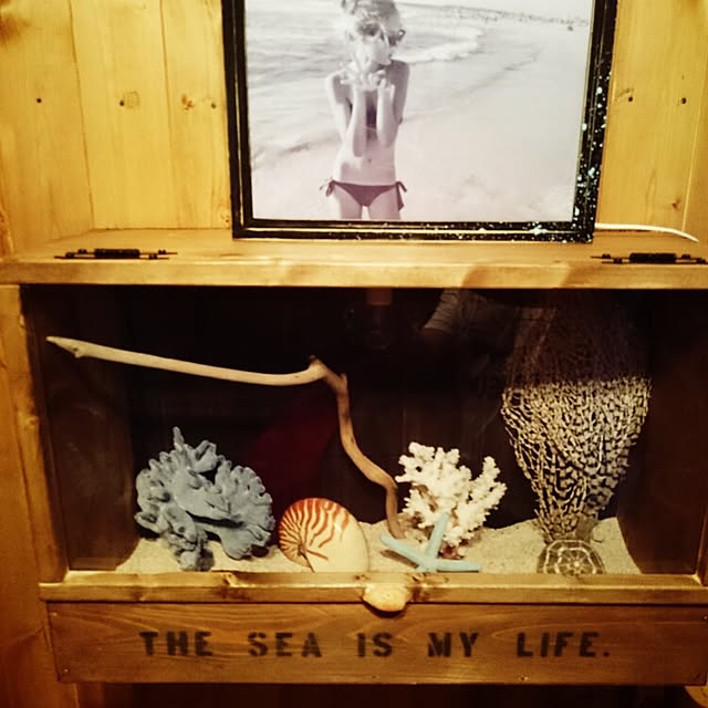 棚/海好き！！/DIYのインテリア実例 - 2015-03-16 20:18:57