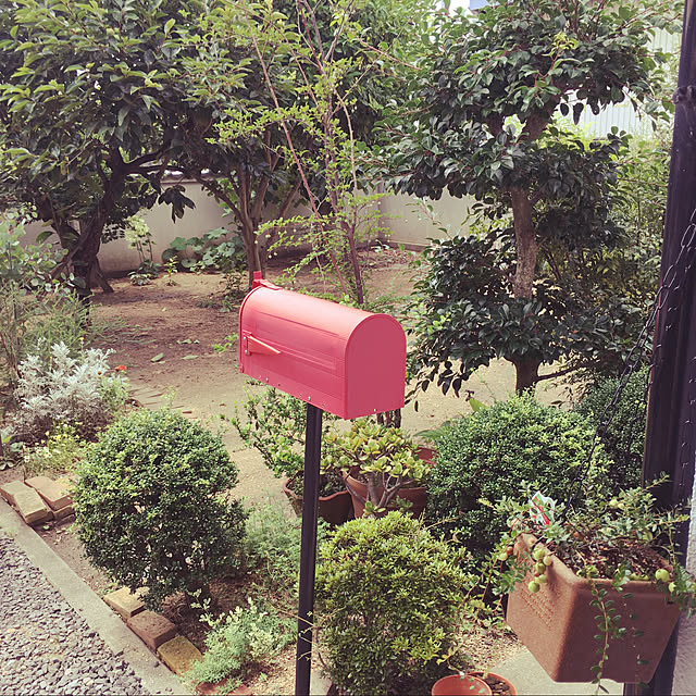 mamegohanさんの実例写真