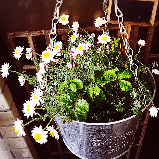 asa.homeさんの実例写真