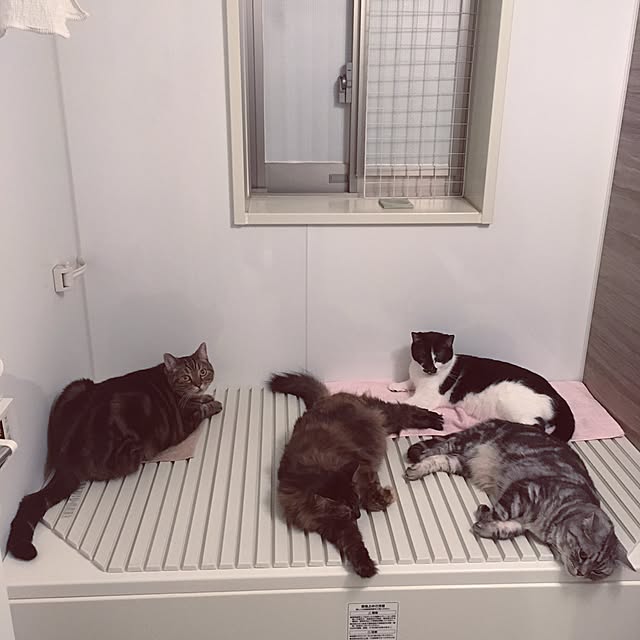 mikomaruさんの実例写真