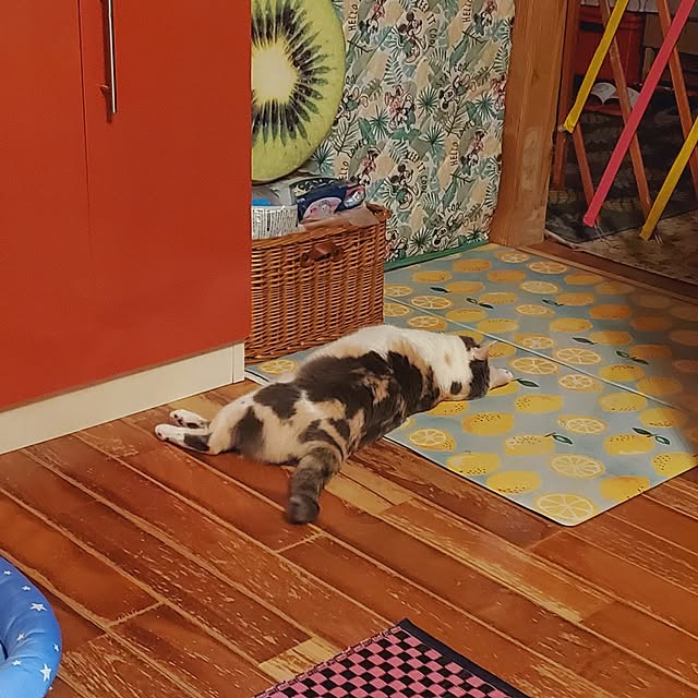kumutanさんの部屋