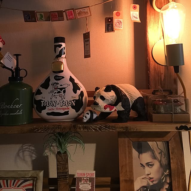tetra163さんの実例写真