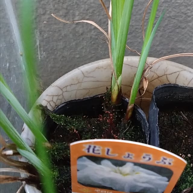 kakkaさんの部屋