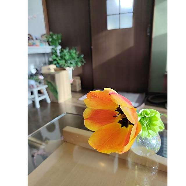 kiraさんの実例写真