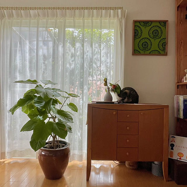 nobikoさんの部屋