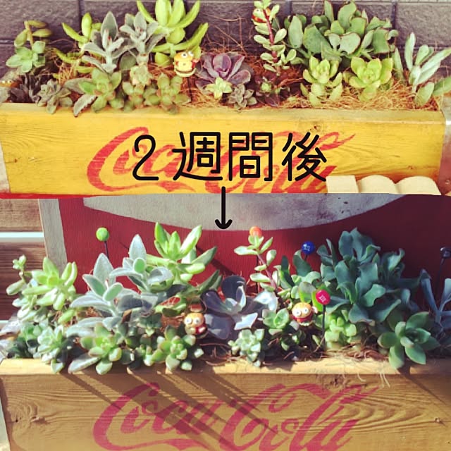 405.mさんの実例写真