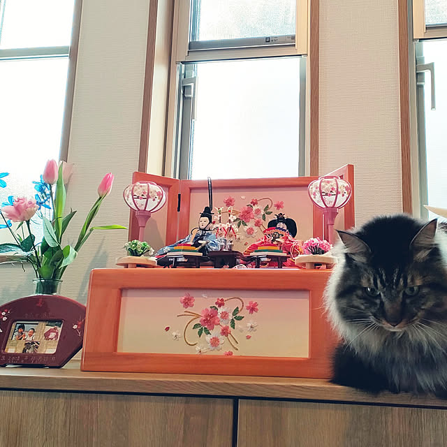 sayan_0321さんの実例写真