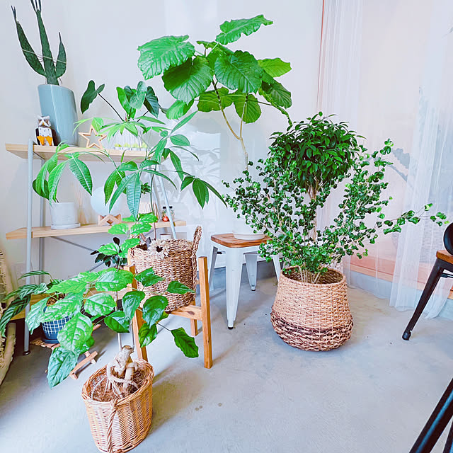 YUKOさんの部屋