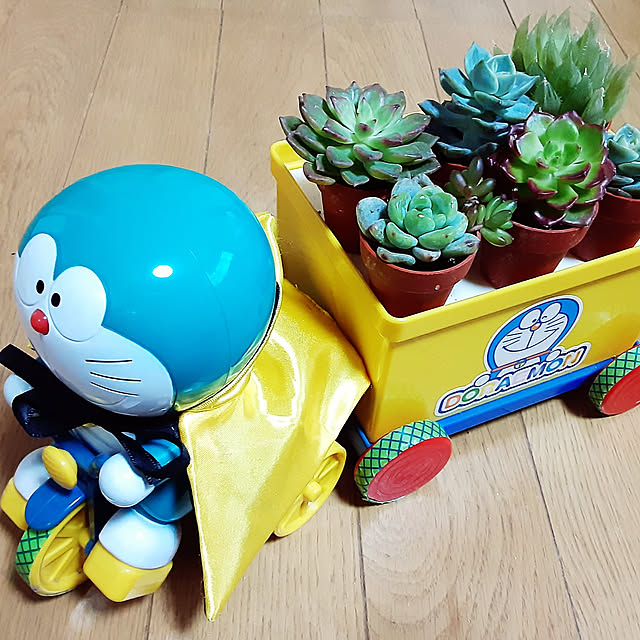 katさんの実例写真