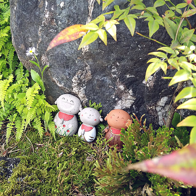 mini56さんの実例写真