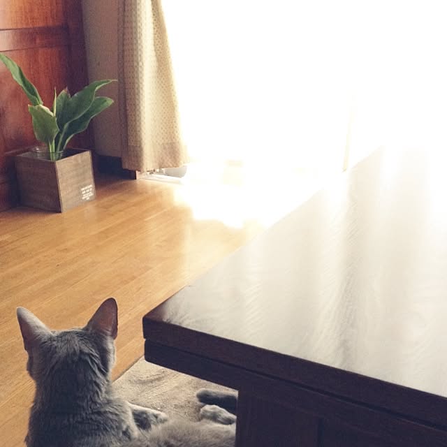 calmsweetsweetさんの実例写真