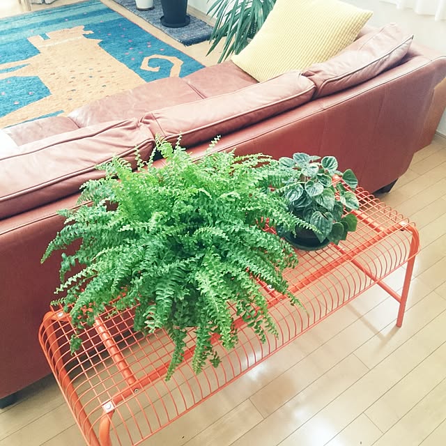 nao525さんの実例写真