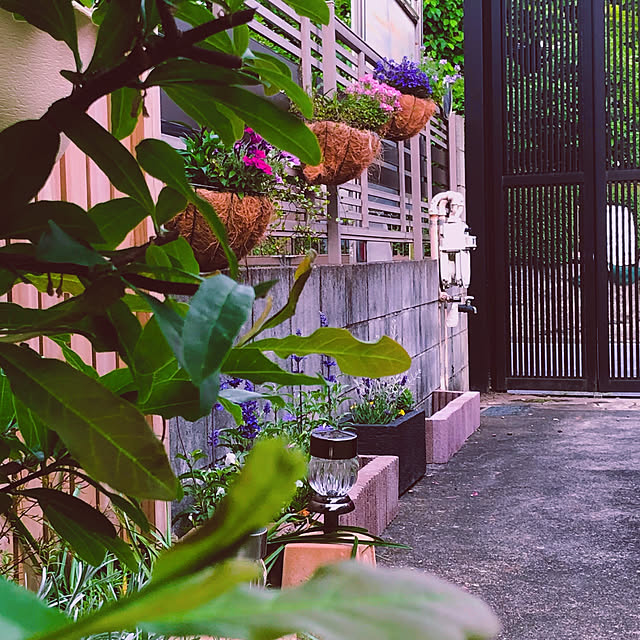 chacoさんの実例写真