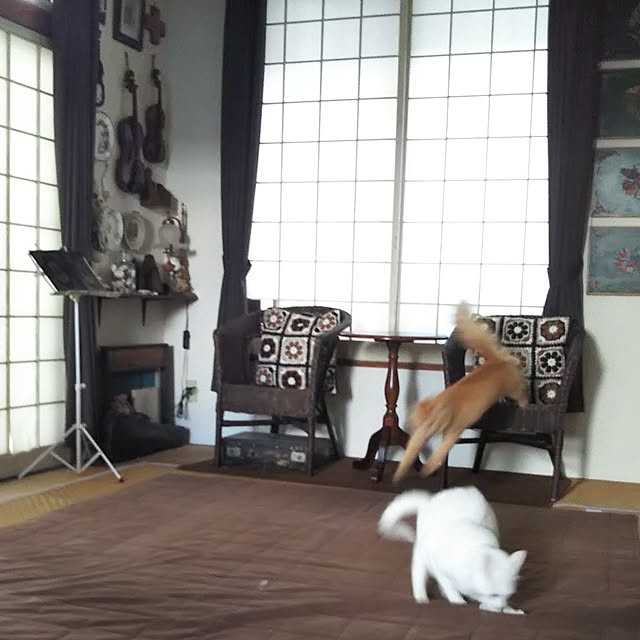 gabさんの実例写真