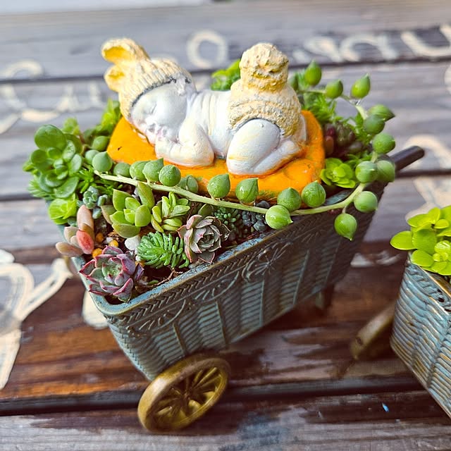 mocomocoさんの部屋