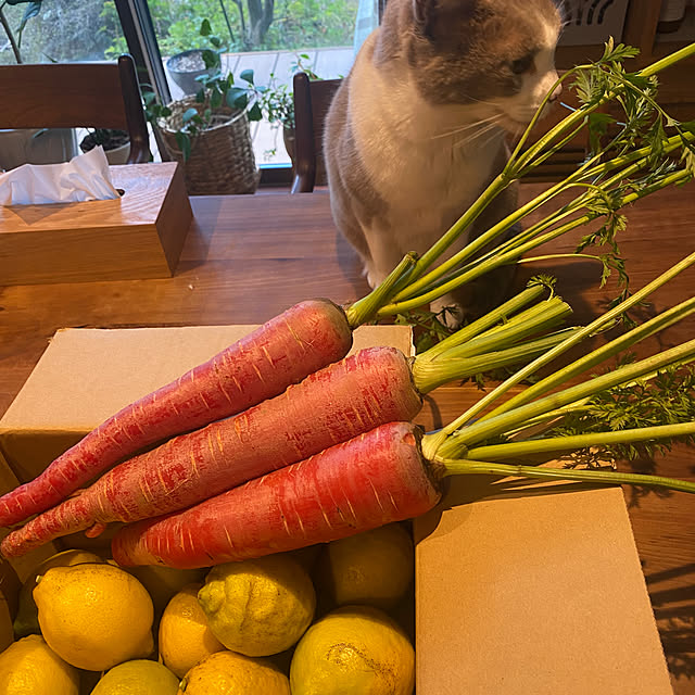 taakoさんの実例写真