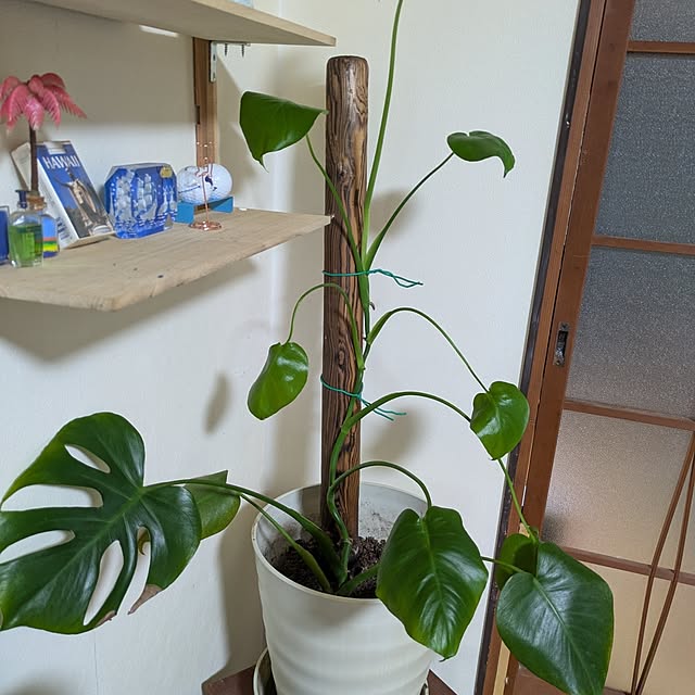 asaさんの部屋