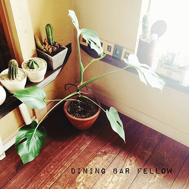 Fellowさんの実例写真