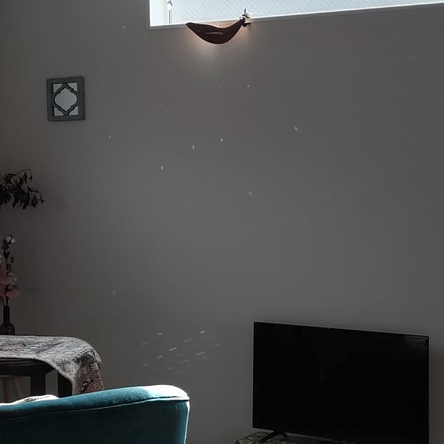 Maroさんの部屋