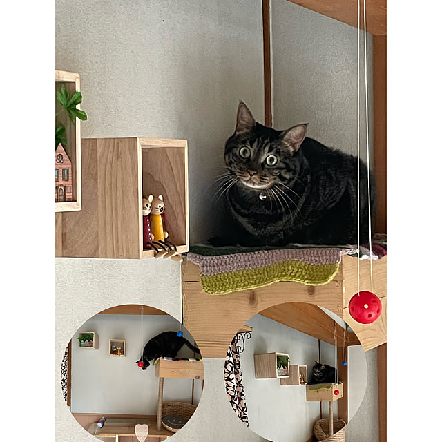 momocchiさんの実例写真