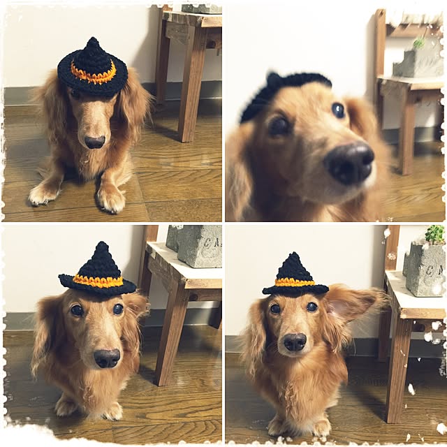 ram_mamaさんの実例写真
