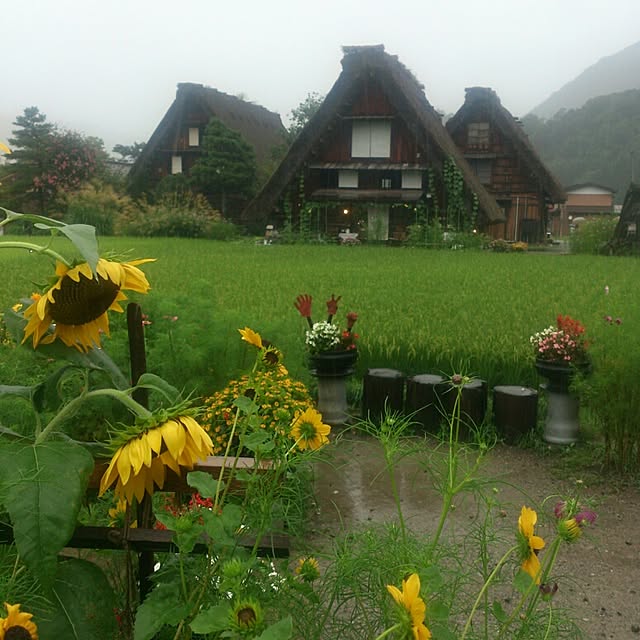 実例写真