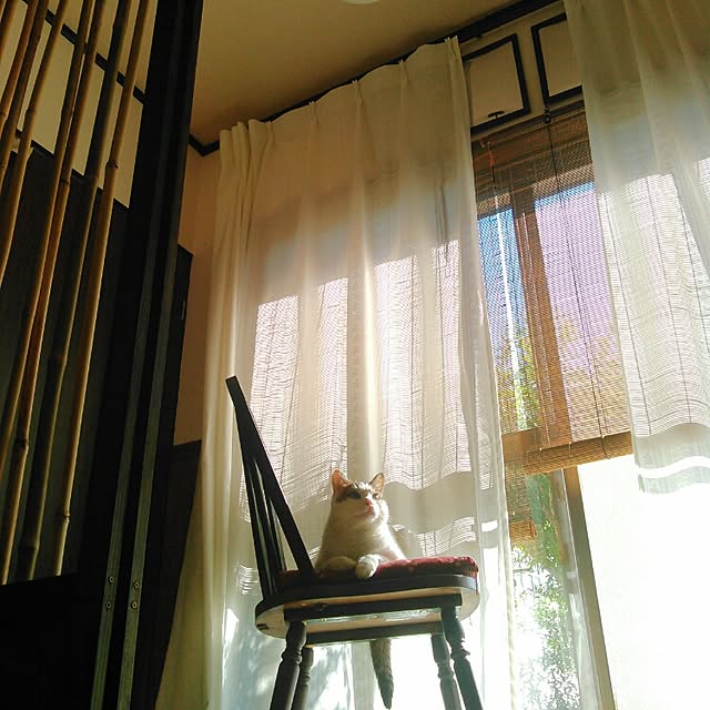 amelliaさんの実例写真