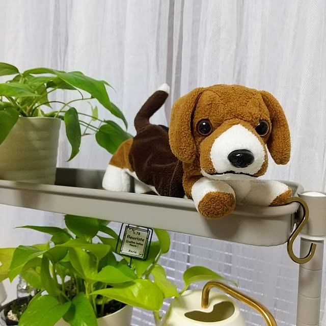 meiさんの部屋
