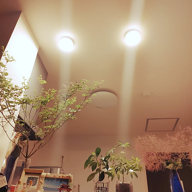 aozoraさんの実例写真