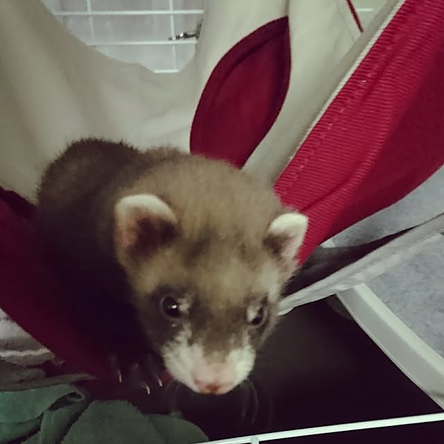 touyamamaさんの実例写真