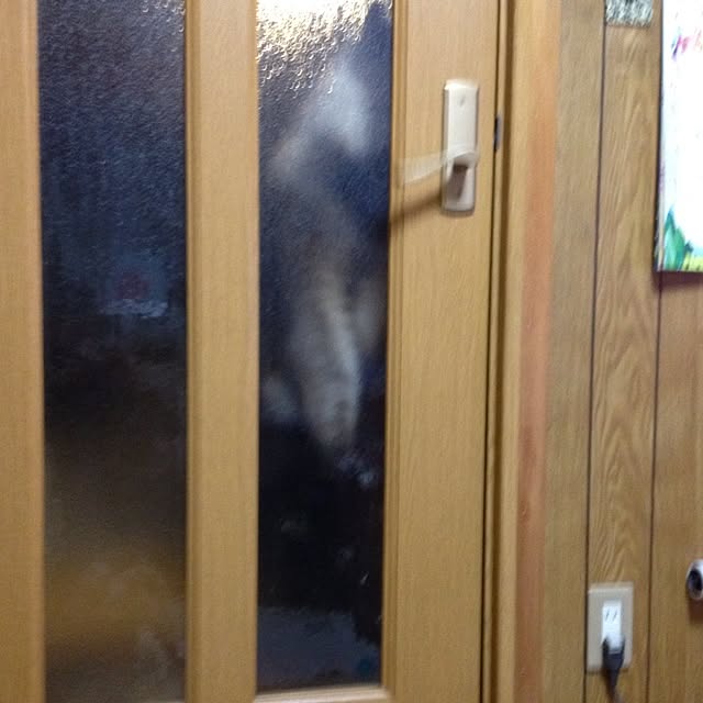 salyuさんの実例写真